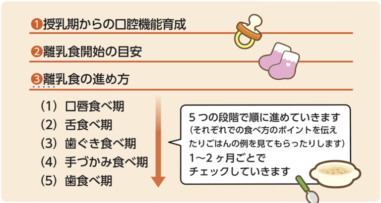 歯と体の発達に合わせた離乳食の進め方 いわき市の歯医者 酒井歯科医院